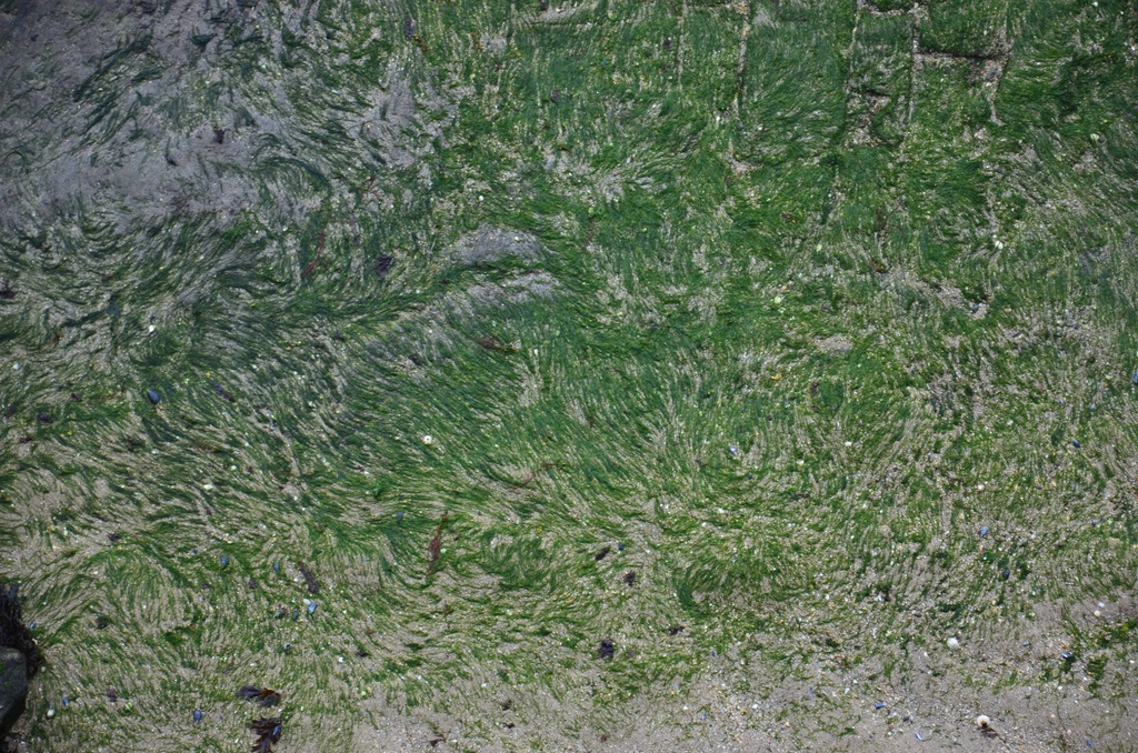 2016-12 France/St Malo/DSC_1038.JPG